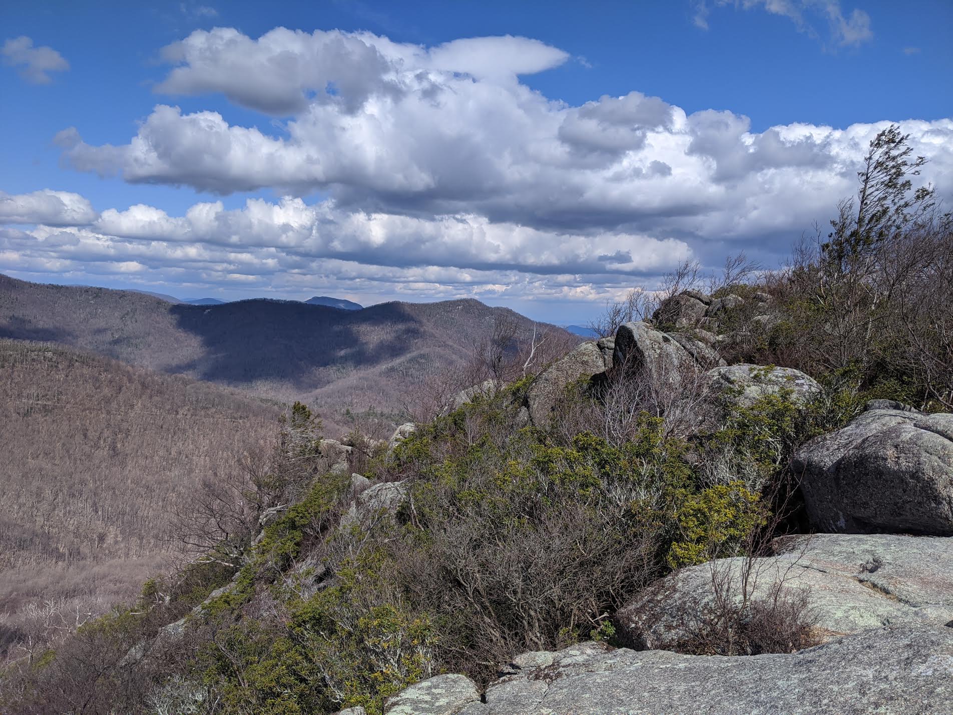 American Studies 307: Virginia Issues and Controversies